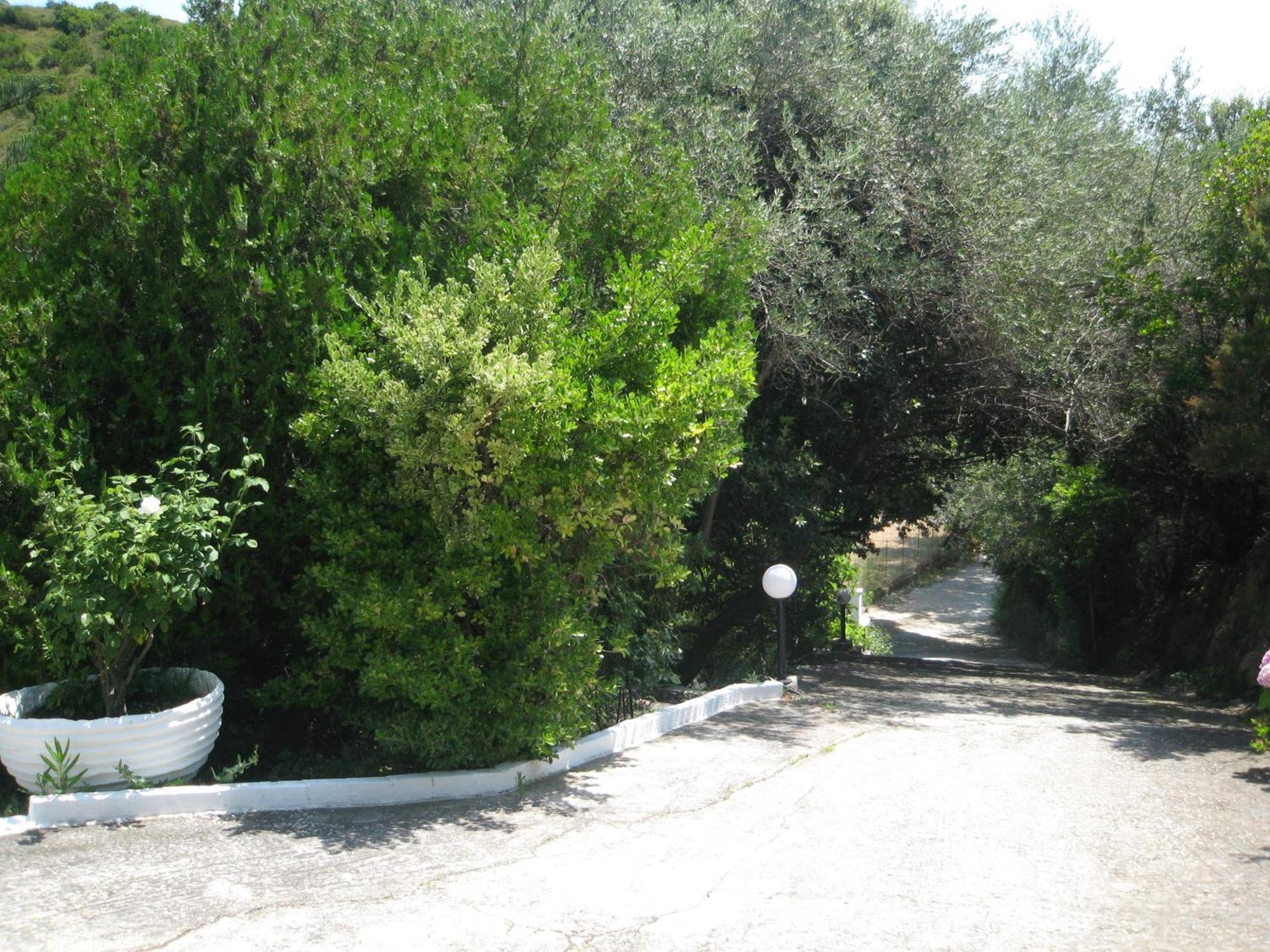 Bellina Studios Agia Paraskevi  Exterior photo