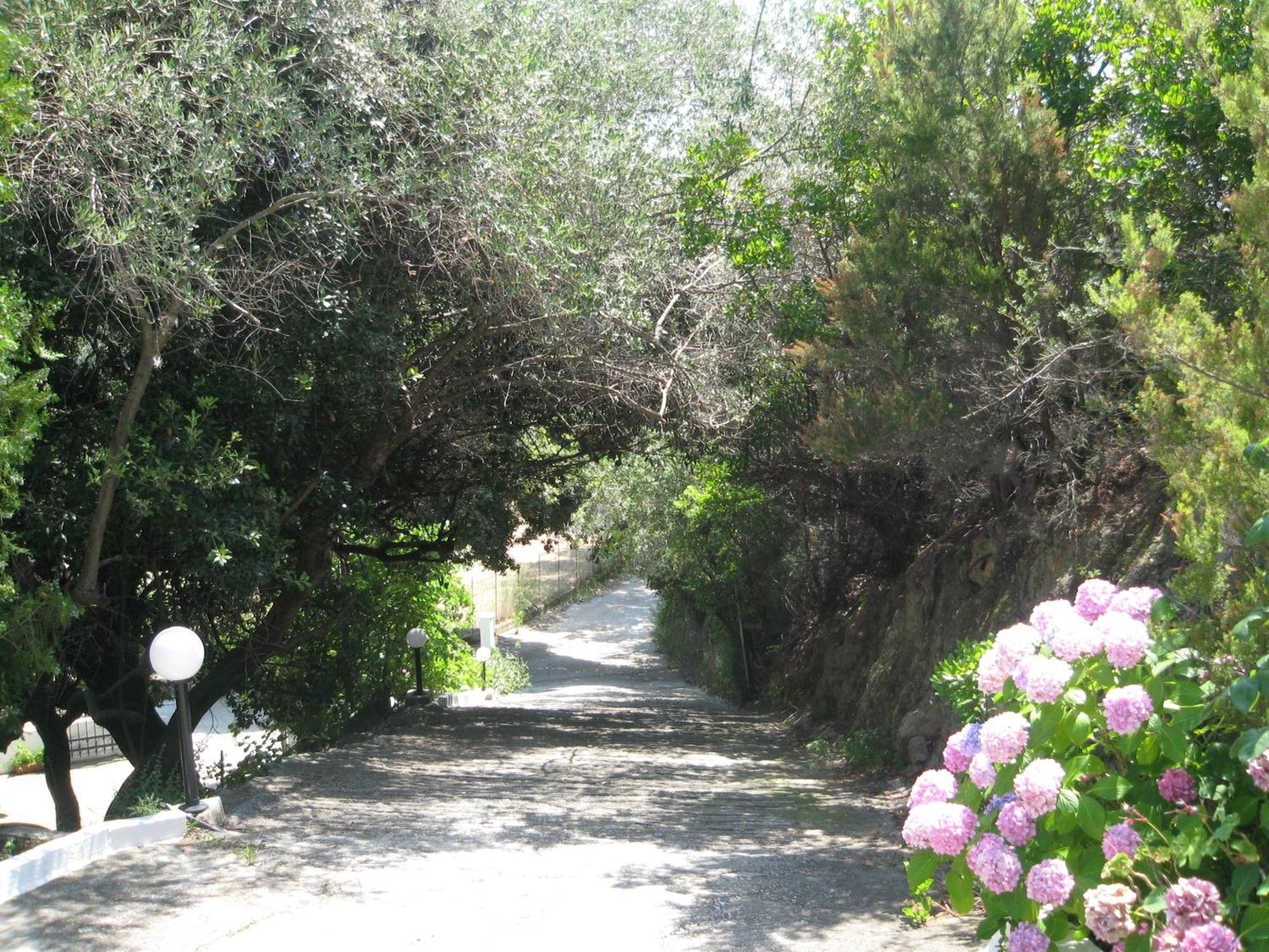 Bellina Studios Agia Paraskevi  Exterior photo